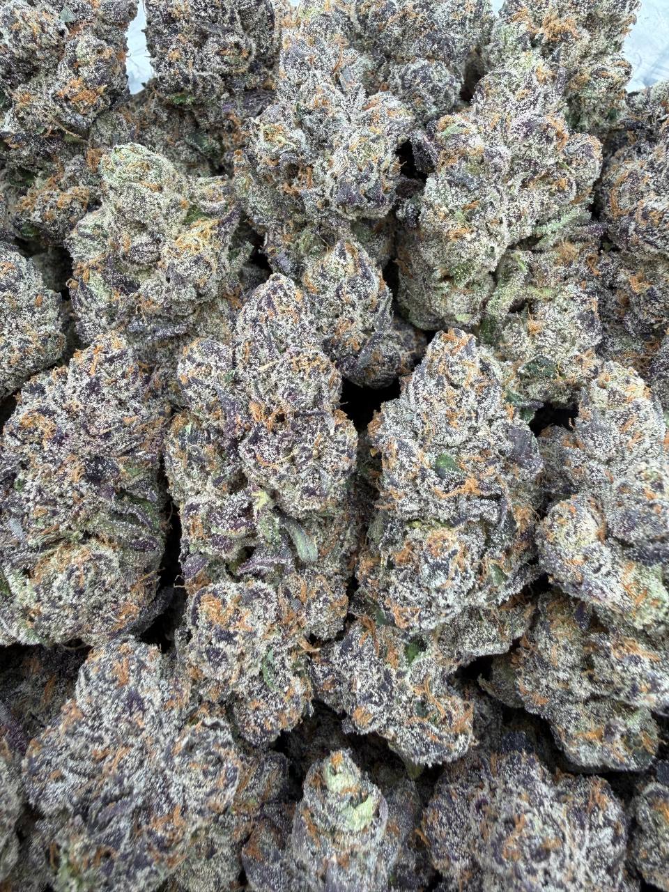 Private Reserve